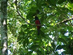 DSCF9127.JPG