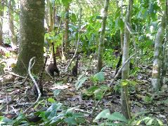 DSCF9131.JPG