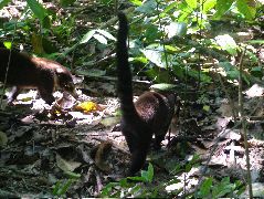 DSCF9132.JPG