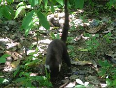 DSCF9133.JPG