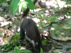 DSCF9134.JPG