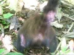 DSCF9138.JPG