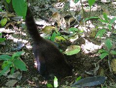 DSCF9139.JPG