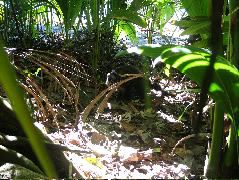 DSCF9140.JPG