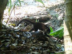 DSCF9141.JPG