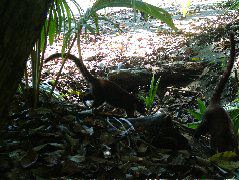 DSCF9142.JPG