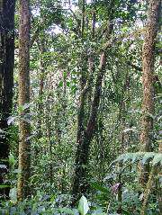 DSCF8643.JPG