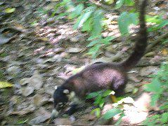 DSCF9146.JPG