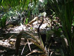 DSCF9148.JPG
