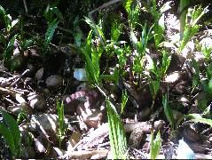 DSCF9149.JPG