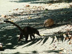 DSCF9151.JPG