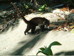 DSCF9152.JPG