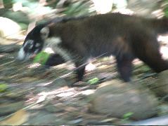 DSCF9153.JPG