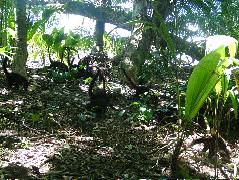 DSCF9156.JPG