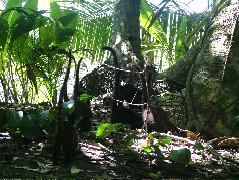 DSCF9157.JPG