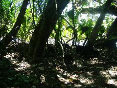 DSCF9158.JPG