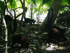 DSCF9159.JPG