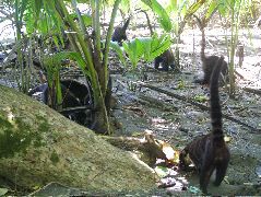 DSCF9160.JPG