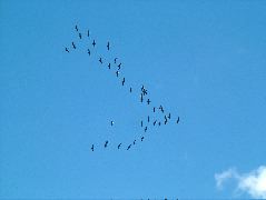 DSCF9161.JPG