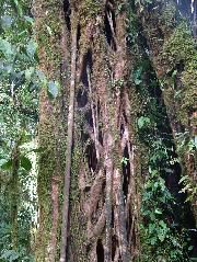 DSCF8645.JPG