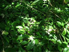 DSCF9165.JPG