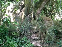 DSCF9166.JPG
