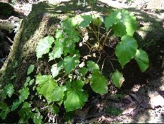DSCF9167.JPG