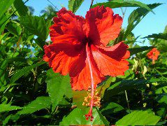 DSCF9168.JPG