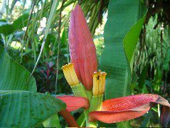 DSCF9169.JPG