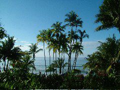 DSCF9171.JPG