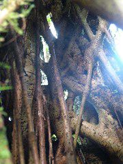 DSCF8646.JPG