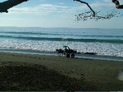 DSCF9174.JPG
