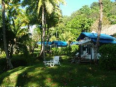 DSCF9177.JPG