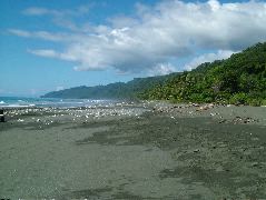 DSCF9182.JPG