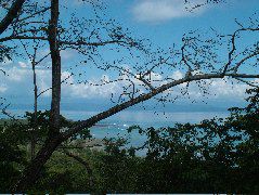 DSCF9185.JPG