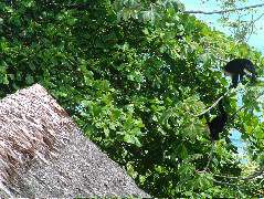 DSCF9187.JPG