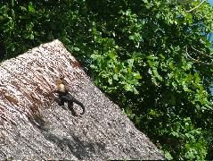 DSCF9188.JPG