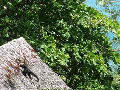 DSCF9189.JPG