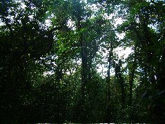 DSCF8648.JPG