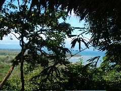 DSCF9202.JPG
