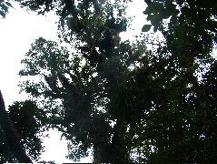 DSCF8649.JPG