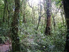 DSCF8657.JPG