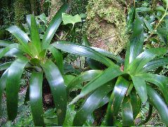 DSCF8658.JPG