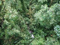 DSCF8661.JPG