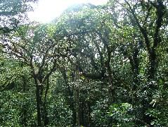 DSCF8662.JPG