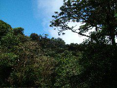 DSCF8664.JPG