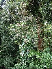 DSCF8665.JPG