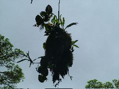 DSCF8666.JPG