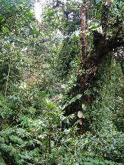 DSCF8669.JPG