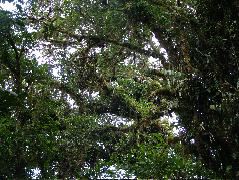 DSCF8670.JPG